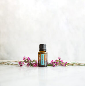 Uit je hoofd. In je lijf 4 AromaTouch (2)