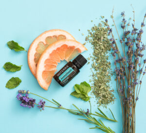 Uit je hoofd. In je lijf 7 AromaTouch EU