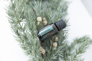 Uit je hoofd. In je lijf 5 balance doterra